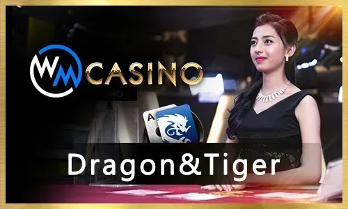 Casino Bonus Guide